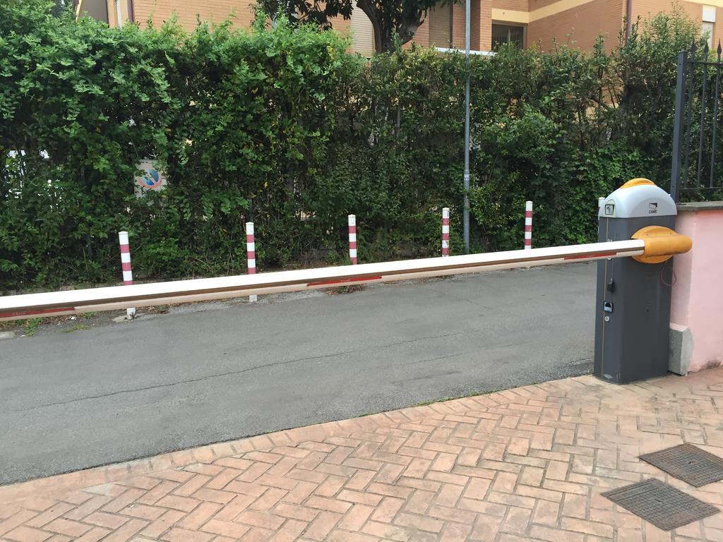 Pineta Roma